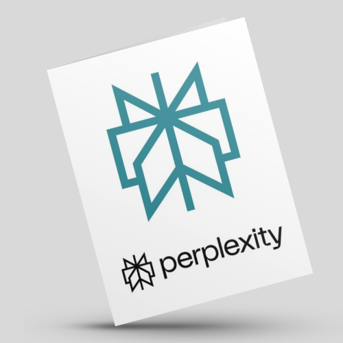 Perplexity AI 1 Year Plan